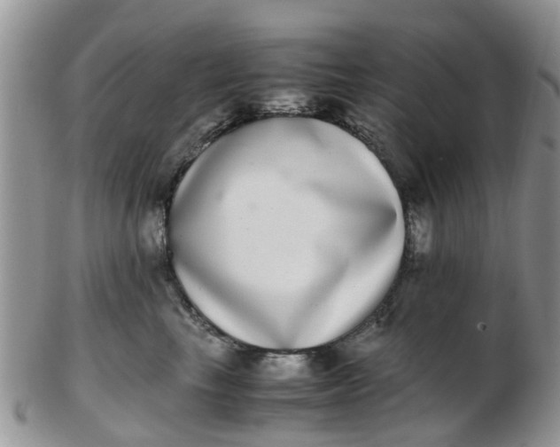 X0000103270665200809122137