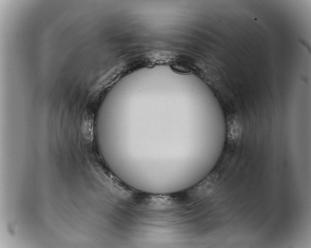 X0000103270666200809122137