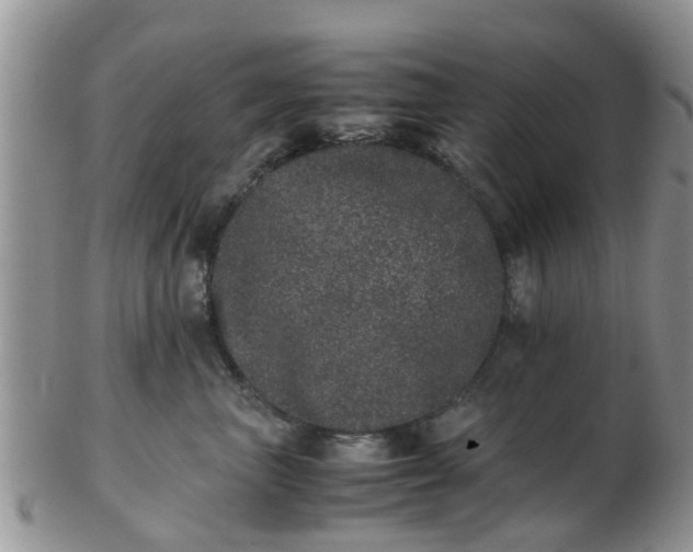 X0000103270667200809122137
