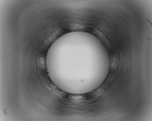 X0000103270669200809122137