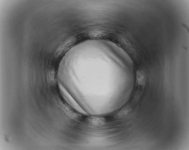 X0000103270670200809122137