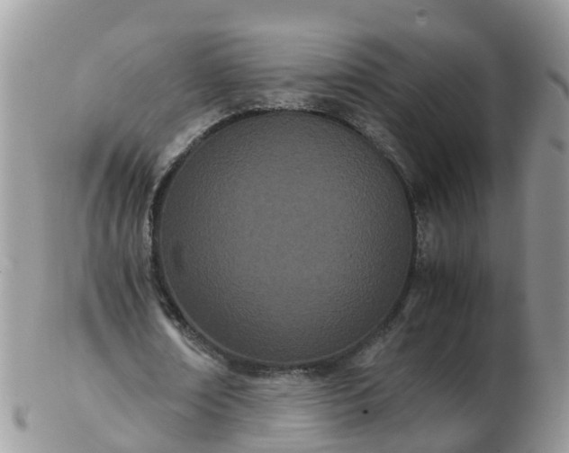 X0000103270674200809122136
