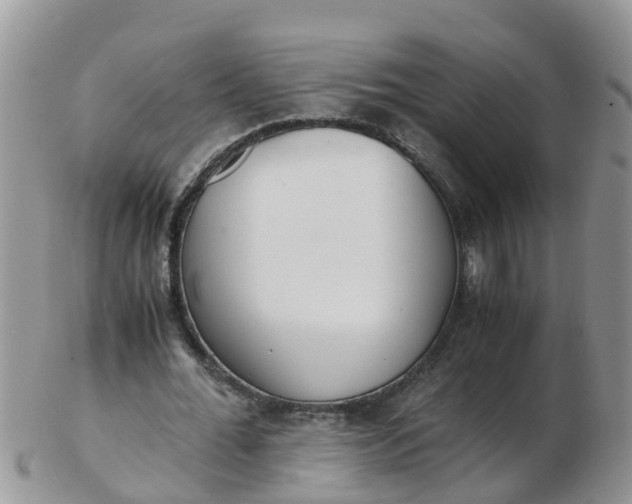 X0000103270676200809122136