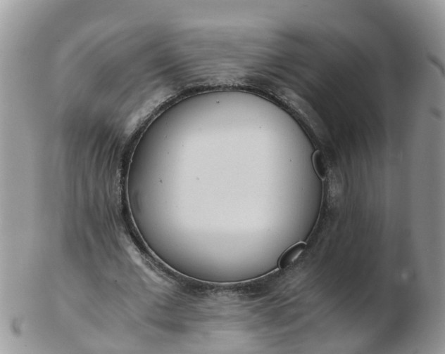 X0000103270677200809122136