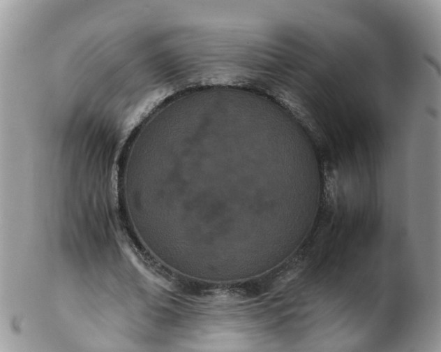 X0000103270678200809122136
