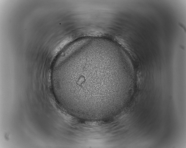 X0000103270679200809122136