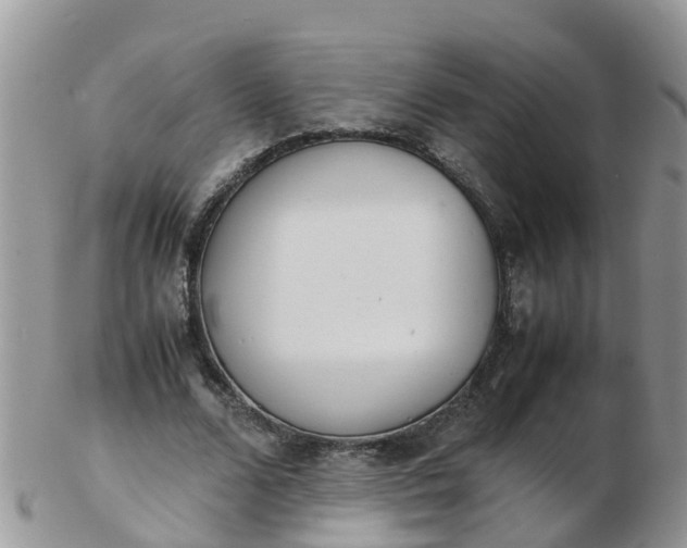 X0000103270680200809122136