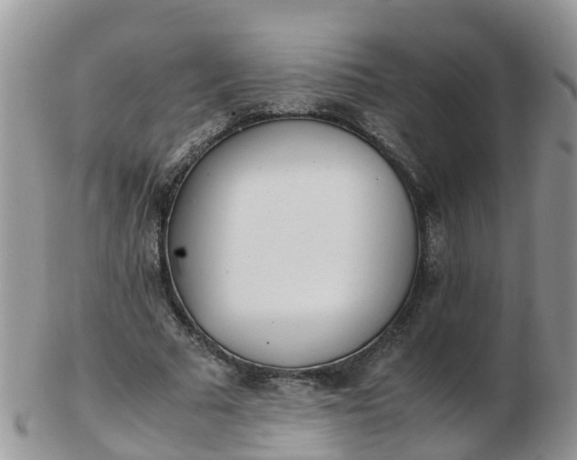 X0000103270681200809122136