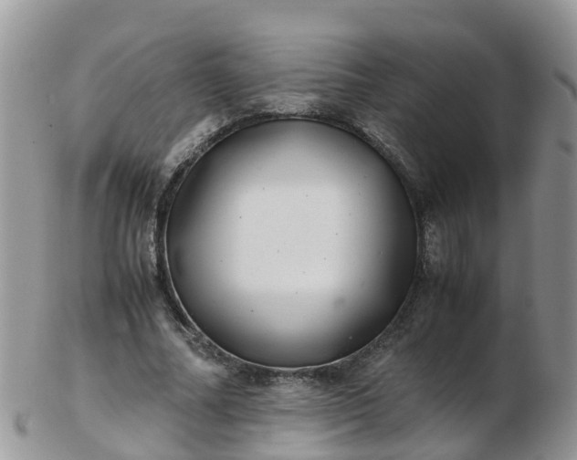X0000103270682200809122136