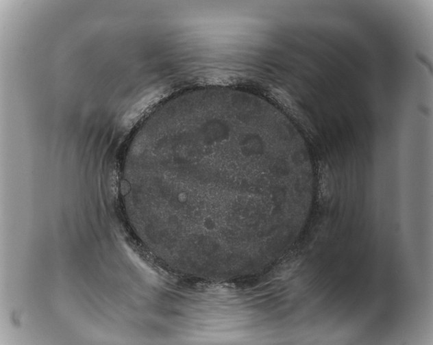 X0000103270683200809122136