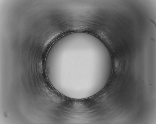 X0000103270684200809122136