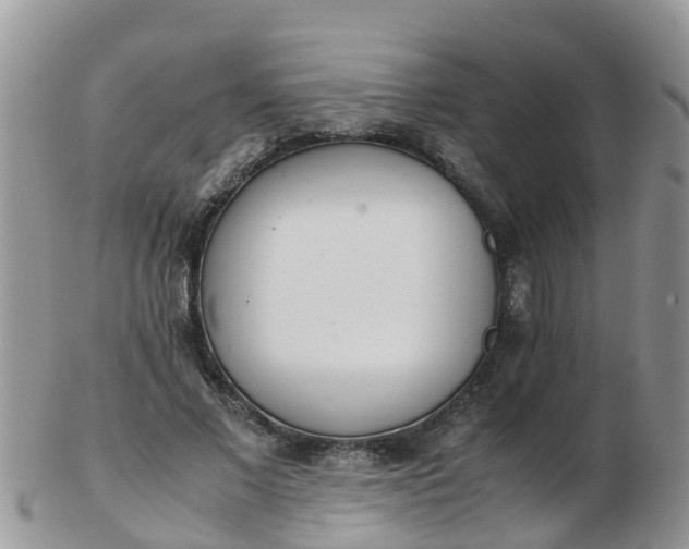 X0000103270685200809122136