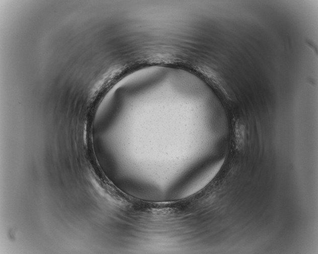 X0000103270686200809122136