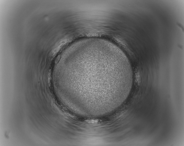 X0000103270687200809122136