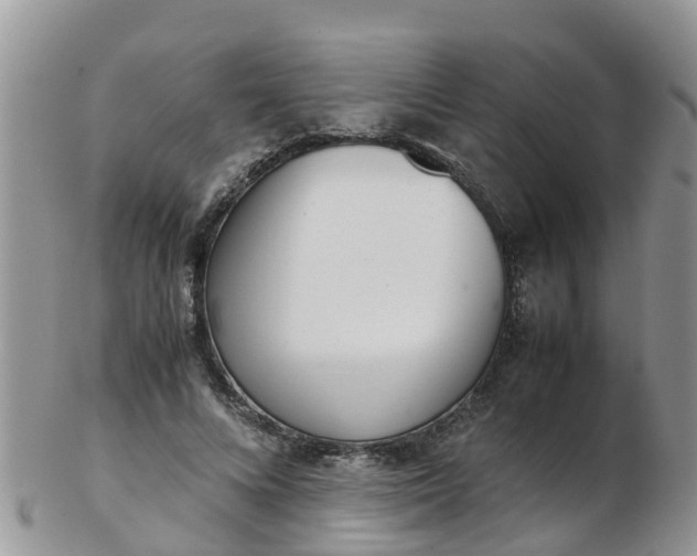 X0000103270688200809122136