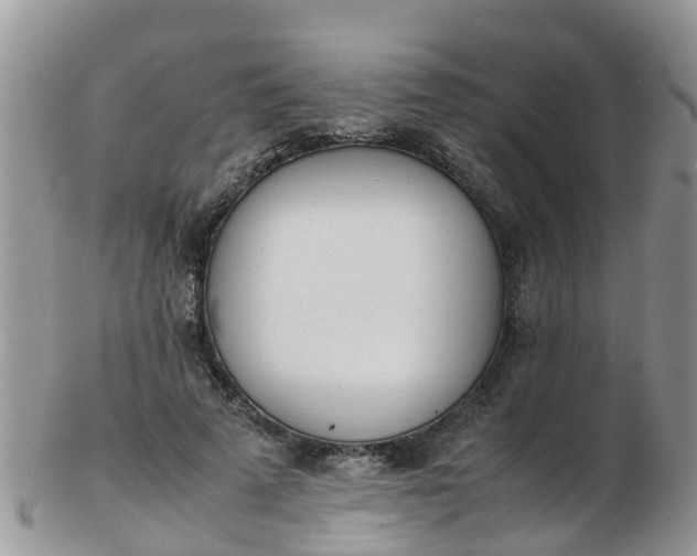 X0000103270689200809122136