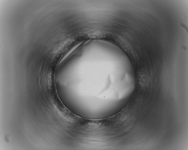 X0000103270690200809122136