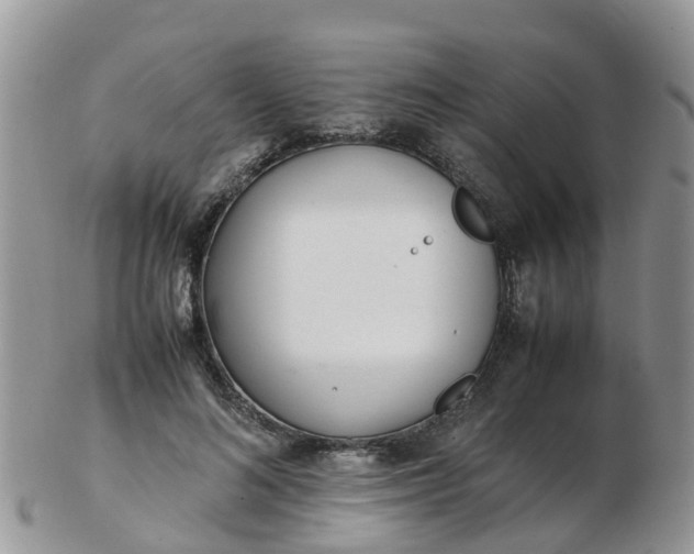 X0000103270692200809122136