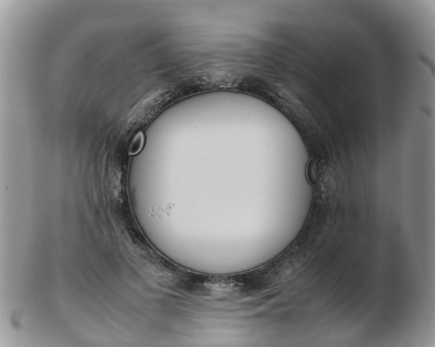 X0000103270693200809122136