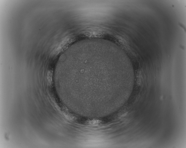 X0000103270695200809122136