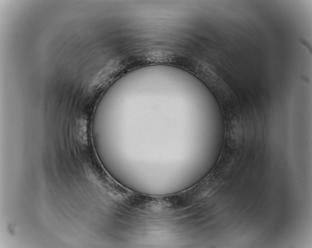 X0000103270696200809122136