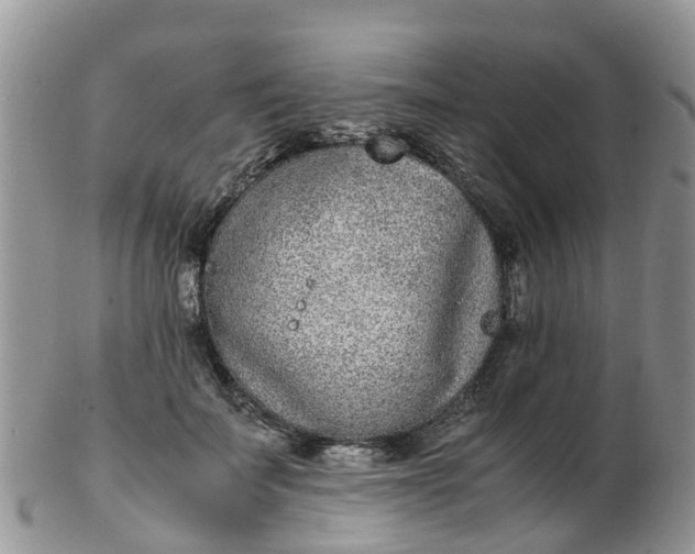X0000103270699200809122136