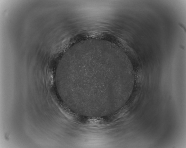 X0000103270703200809122136
