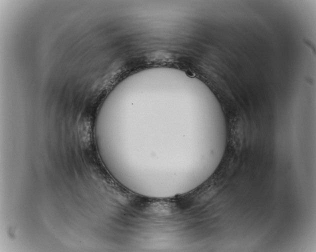 X0000103270708200809122136