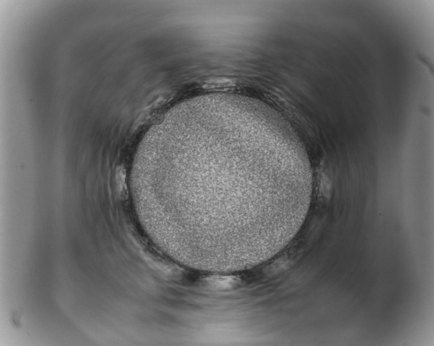 X0000103270711200809122136