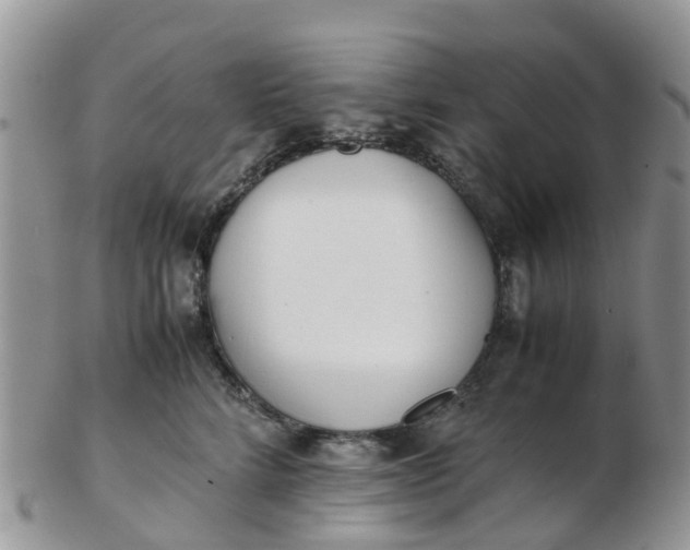 X0000103270712200809122136