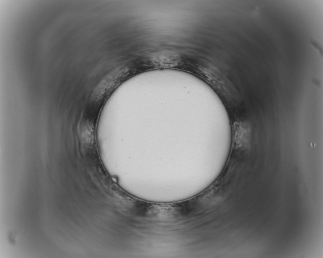 X0000103270713200809122136