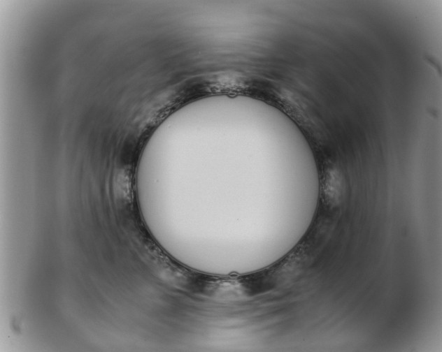 X0000103270715200809122136