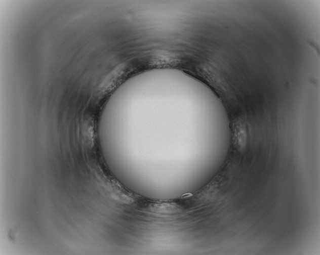 X0000103270716200809122136