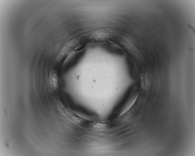 X0000103270718200809122136