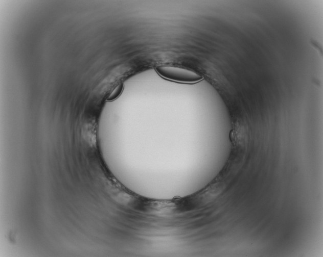 X0000103270719200809122136