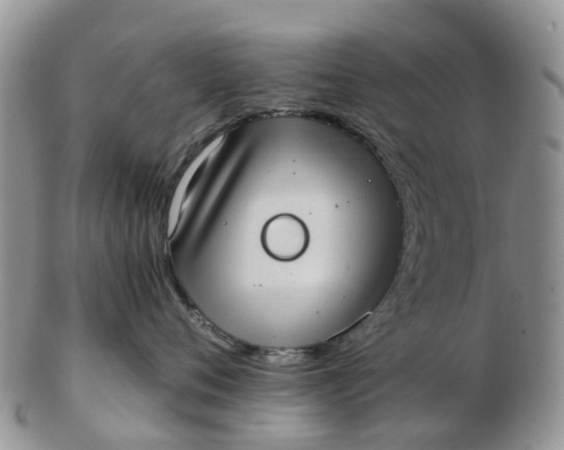X0000103270720200809122136