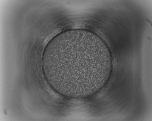 X0000103270721200809122135