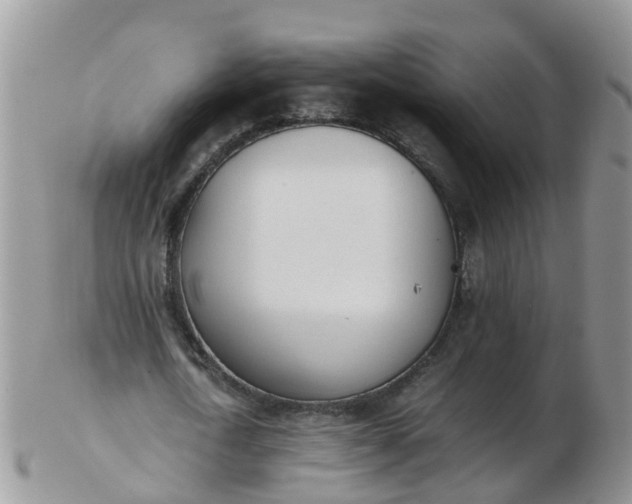 X0000103270722200809122135