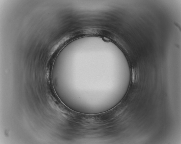 X0000103270723200809122135