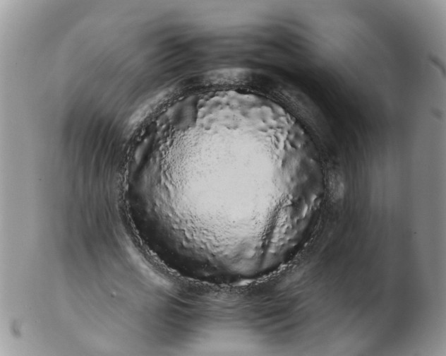 X0000103270725200809122135