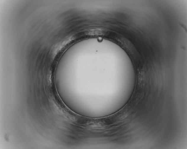 X0000103270727200809122135