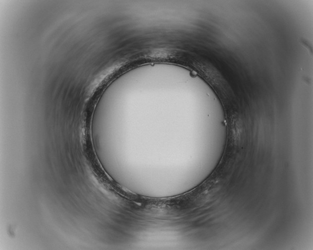 X0000103270728200809122135