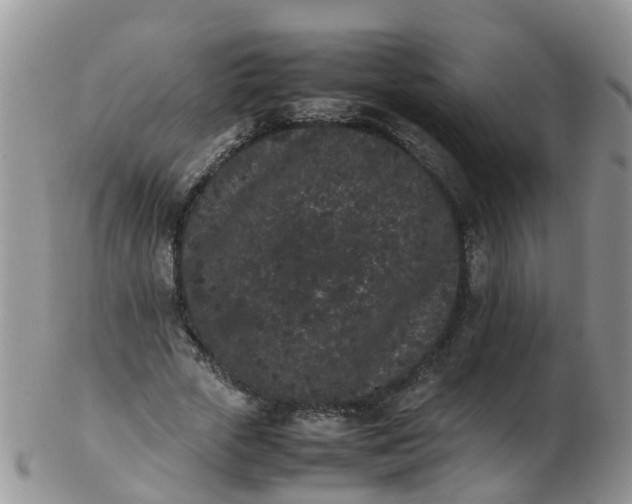 X0000103270729200809122135