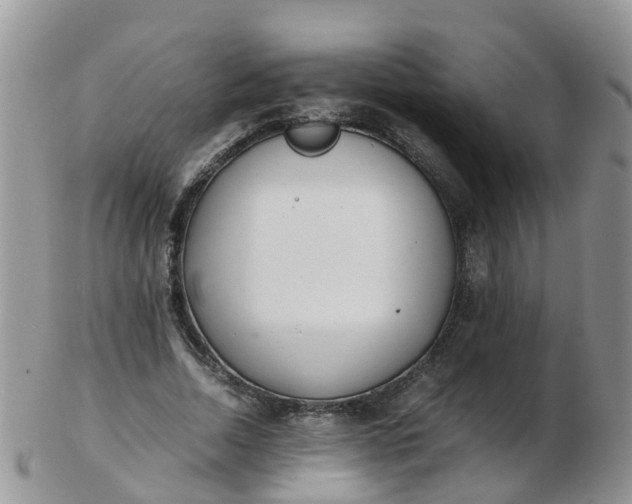 X0000103270730200809122135