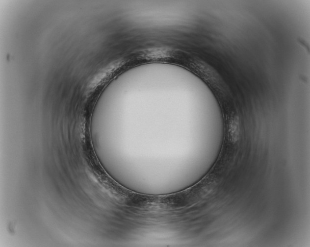 X0000103270732200809122135