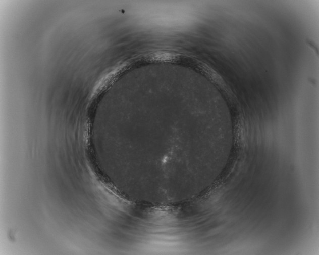 X0000103270736200809122135