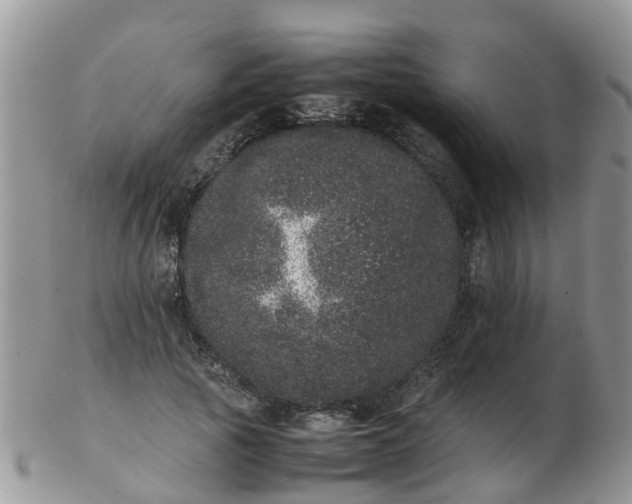 X0000103270737200809122135
