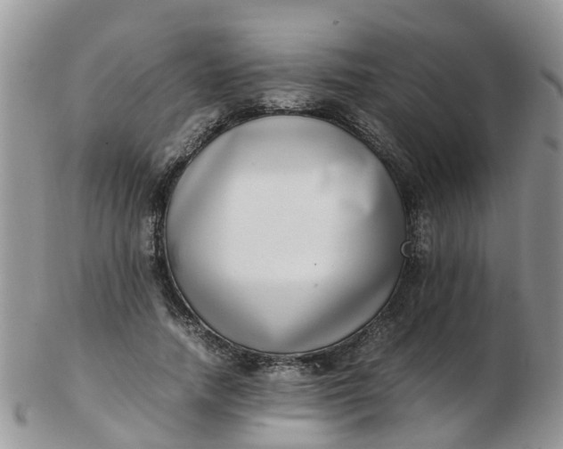 X0000103270738200809122135