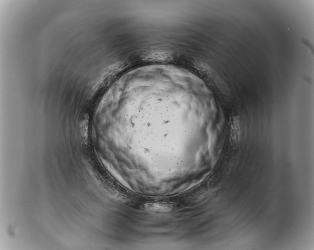 X0000103270739200809122135