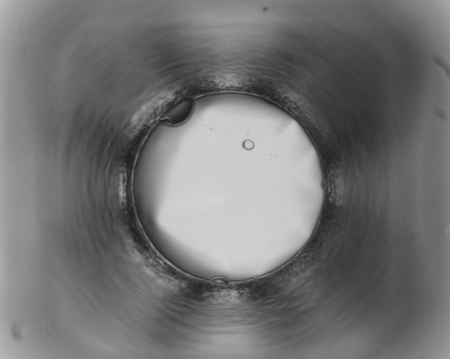 X0000103270740200809122135
